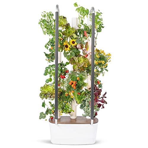 Gardyn 3.0 Hydroponics Growing System & Vertical Garden Planter - The New Generation of Indoor Smart Garden| Includes 30 Non-GMO Indoor Plants, Herbs & Vegetables for your Home Indoor Gardening System