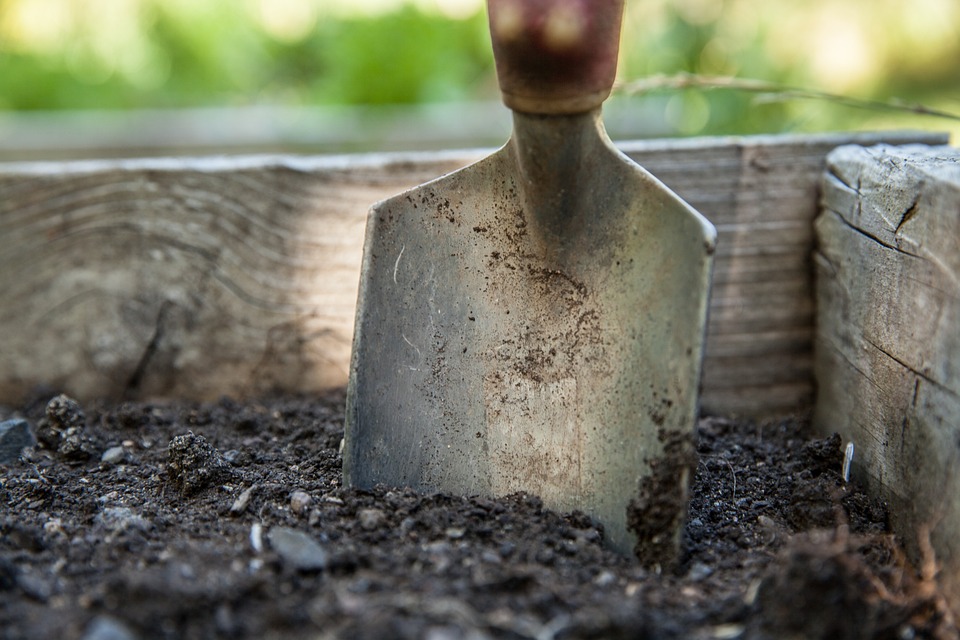 Preserving Our Planet, One Soil at a Time: The Case for Sustainable Soil Care