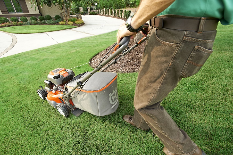 Green-Thumbed Gurus Share their Best-Kept Lawn Care Secrets
