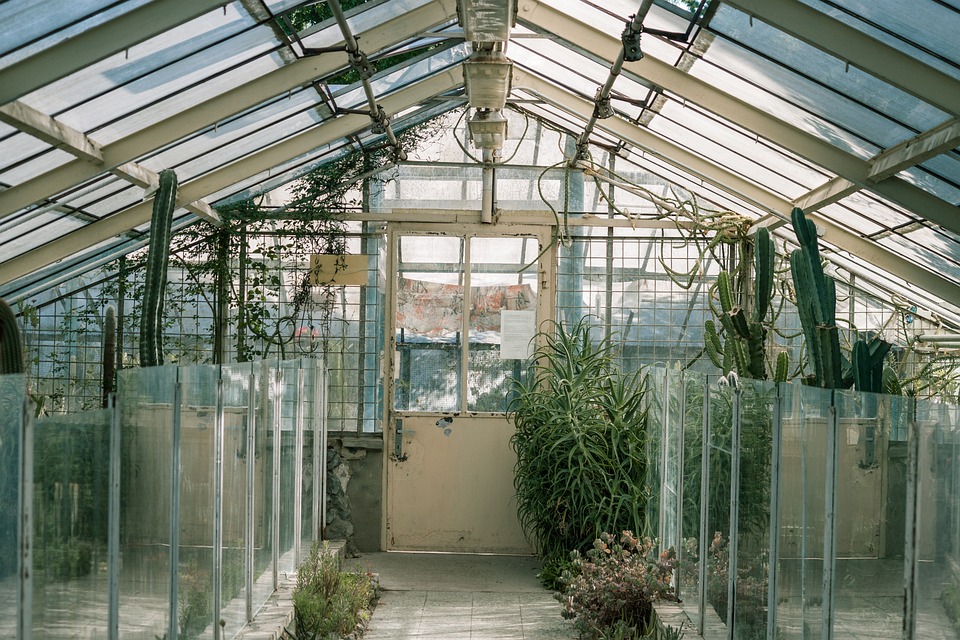 From Rooftops to Backyards: How Greenhouse Gardening is Transforming Urban Spaces