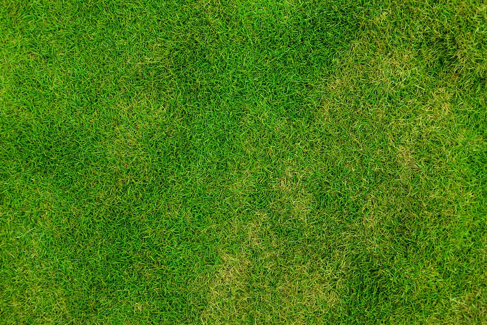 Unleashing the Full Potential of Your Yard: Key Lawn Care Strategies