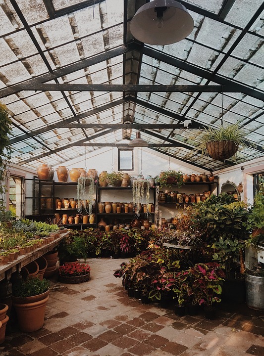 Growing Green: How Greenhouse Gardens are Revolutionizing Sustainable Agriculture
