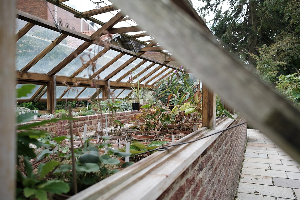 Unleashing the Power of Greenhouse Plants: A Guide to Year-Round Beauty