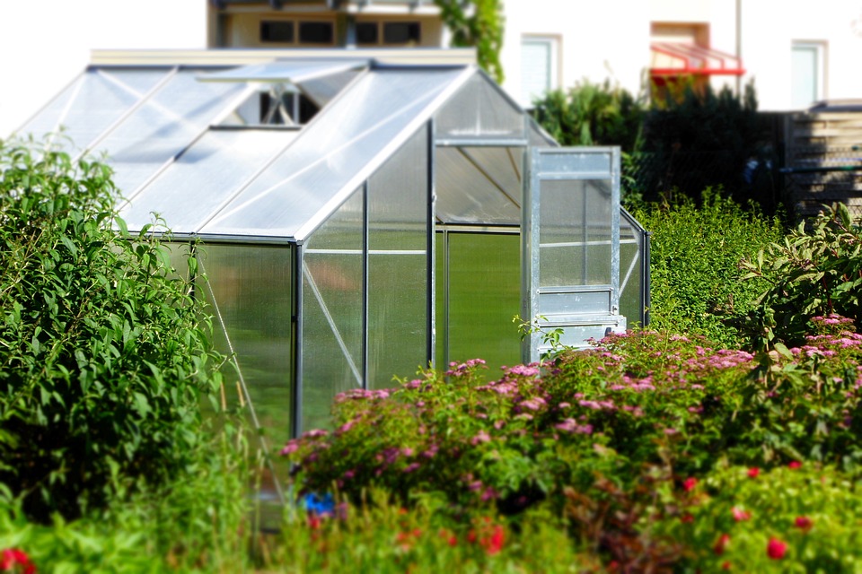 4) Unlocking the Secrets of Greenhouse Gardening: Beginner's Edition