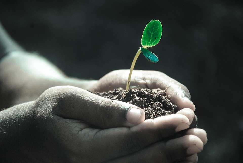 The Importance of Soil Care: Boosting Productivity and Sustainability in Agriculture