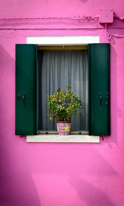 The Healing Power of Indoor Gardens: Enhancing Well-being and Air Quality