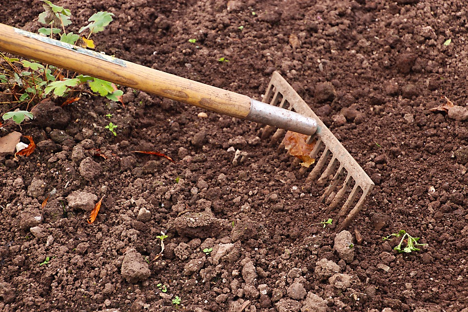 The Key to a Thriving Garden: Mastering the Art of Soil Care