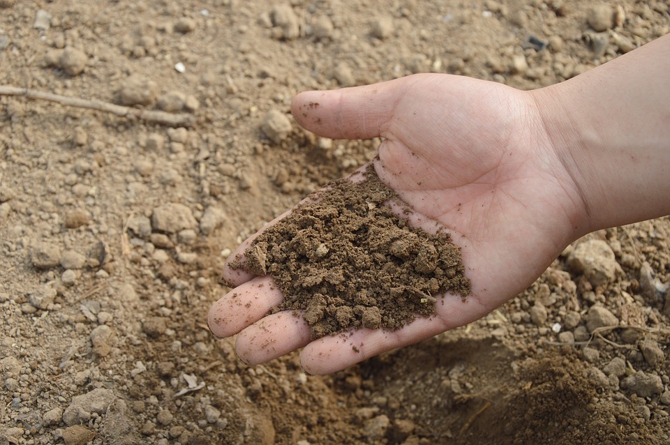 Protecting Our Planet's Vital Resource: The Role of Soil Care in Conservation