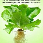 Hydroponics for Beginners: The complete step-by-step guide to grow fruits, herbs and vegetables hydroponically at home! (Hydroponic techniques, aquaponics, guide to hydroponics, home hydroponics)