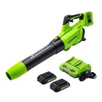 Greenworks 2 x 24V (48V) Cordless Axial Leaf Blower (125 MPH / 515 CFM / 125+ Compatible Tools), (2) 2.0Ah Batteries and Dual Port Charger Included