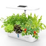 12Pods Hydroponics Growing System, Smart Indoor Herb Garden with Plants Germination Kit with Pump, for Home Kitchen with 20W LED Grow Light
