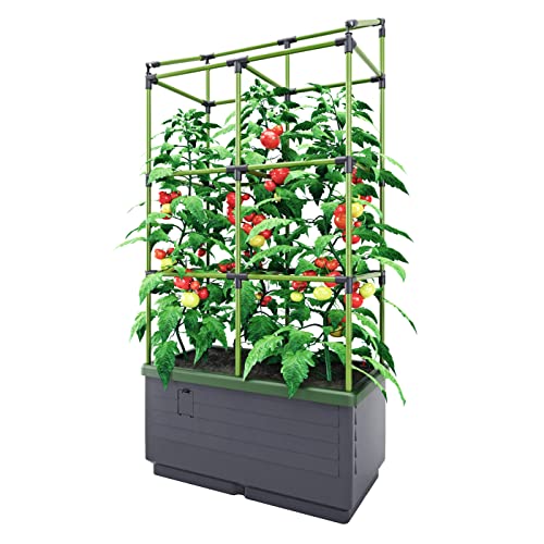 Bio Green City Jungle – Planter with Trellis 13″D x 24″W x 63.39″H – Plant Support – Outdoor Trellis for Climbing Plants, Vines and Vegetables – Planter Box with Trellis – 4.5Gal Reservoir -Grey/Green