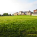 Understanding Fertilizers: Making the Right Choice for Your Lawn