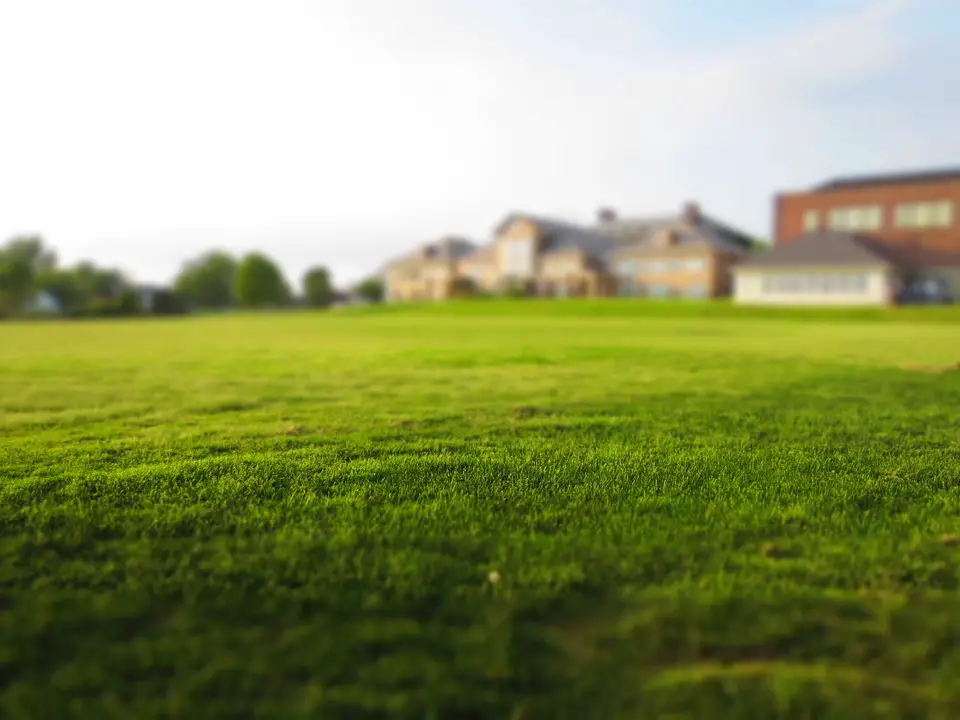 Understanding Fertilizers: Making the Right Choice for Your Lawn