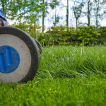 The Hidden Benefits of Lawn Care: Health, Environment, and Property Value