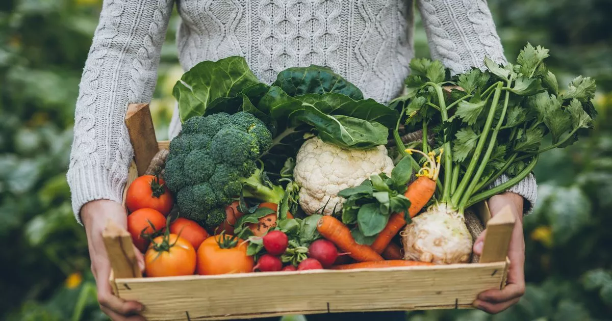Three vegetables gardeners won’t grow again next year that are a ‘waste of time’