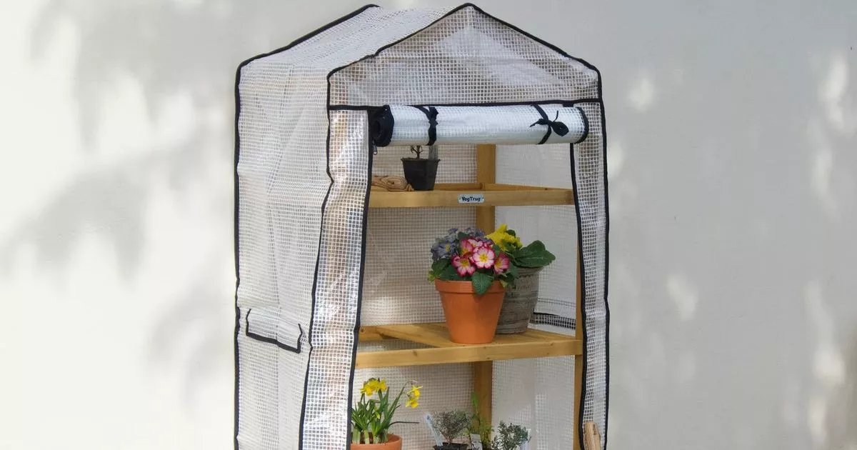 ‘Sturdy’ mini greenhouse that looks ‘absolutely beautiful’ drops to £71 in double deal