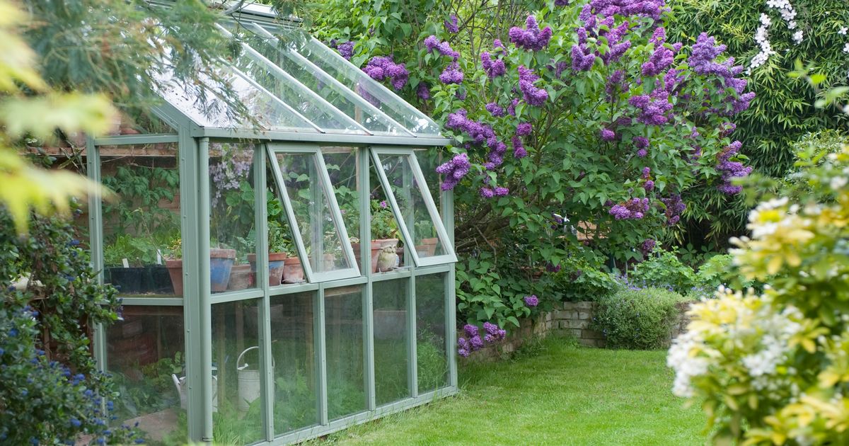 Neighbour poured faeces into Derby man’s greenhouse and ‘catapulted’ slugs into garden