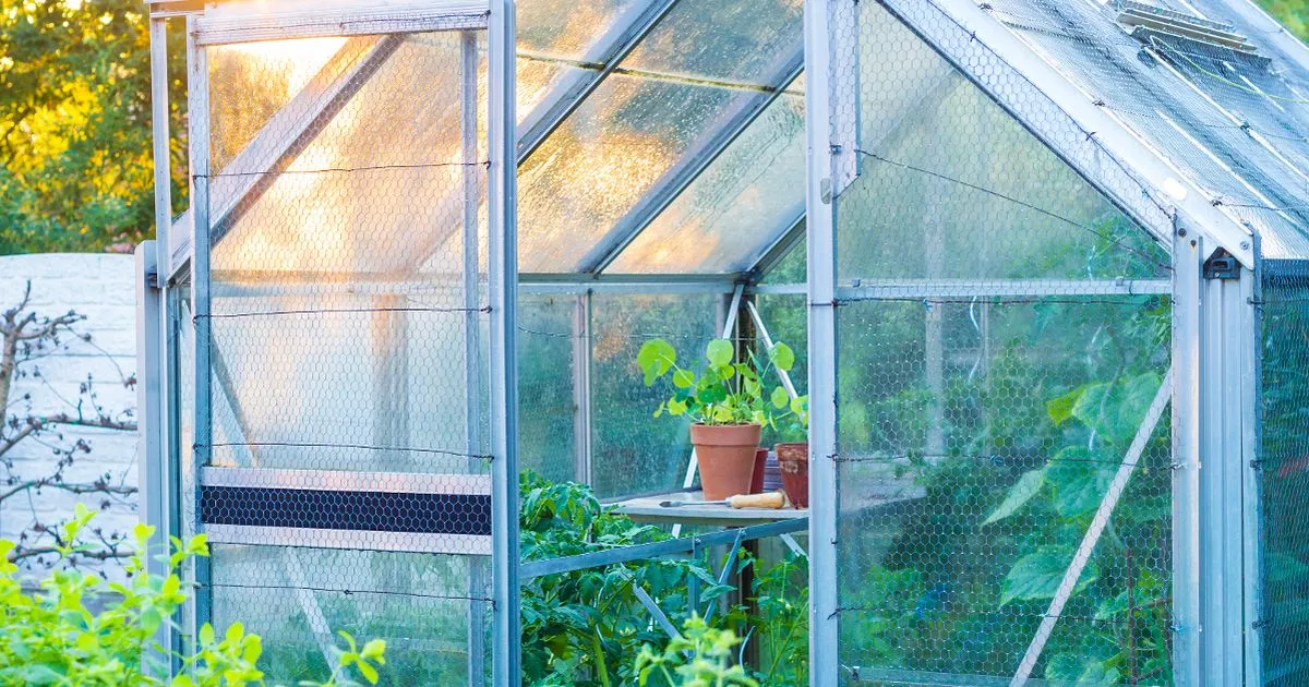 Gardeners with a greenhouse urged to do one thing in May