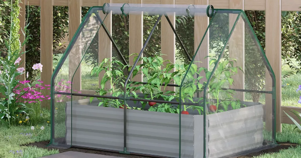 Grow plants and veg all year round with raised garden bed and mini greenhouse