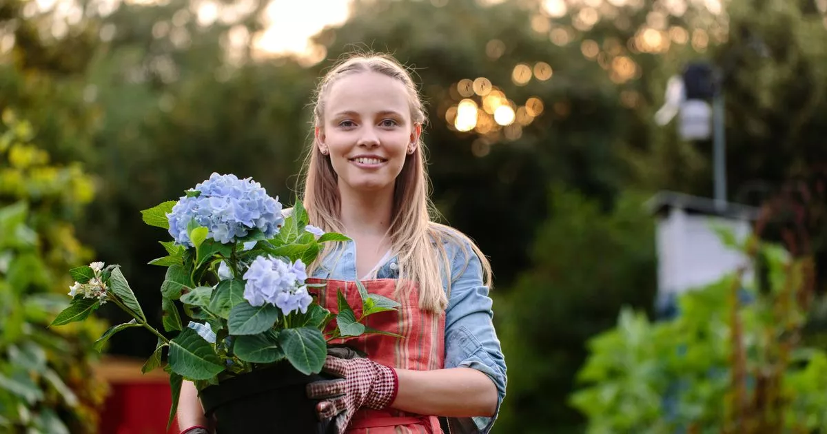 ‘I’m a florist – plant these five flowers if you don’t have gardening experience’