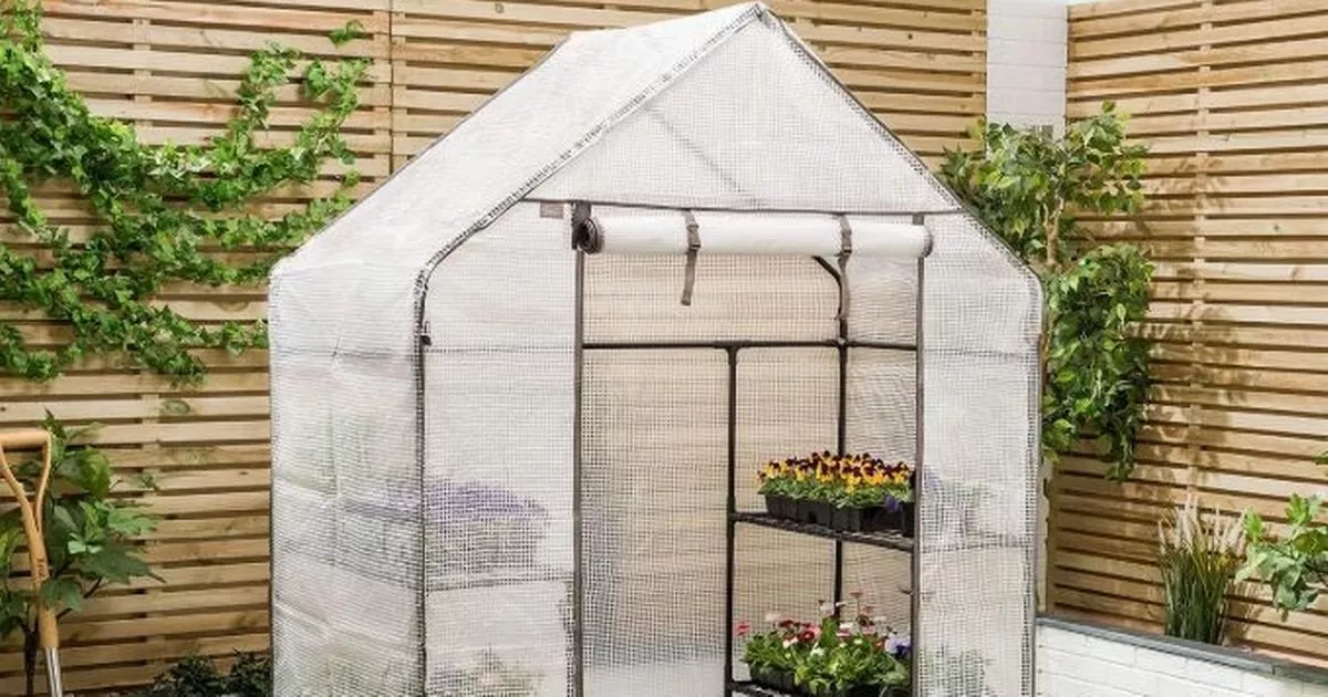 Amazon reduces ยฃ43 walk-in greenhouse that gardeners describe as ‘amazing’