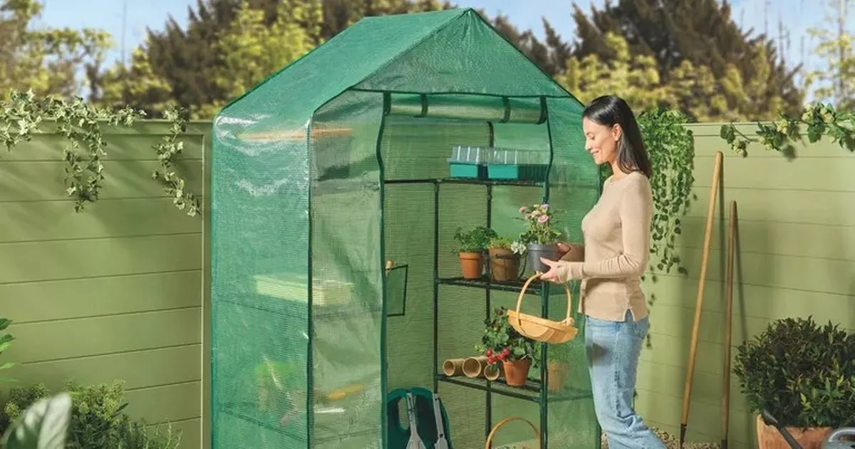 Aldi’s £30 ‘easy-to-build’ greenhouse back on sale this weekend as gardeners urged to ‘act fast’