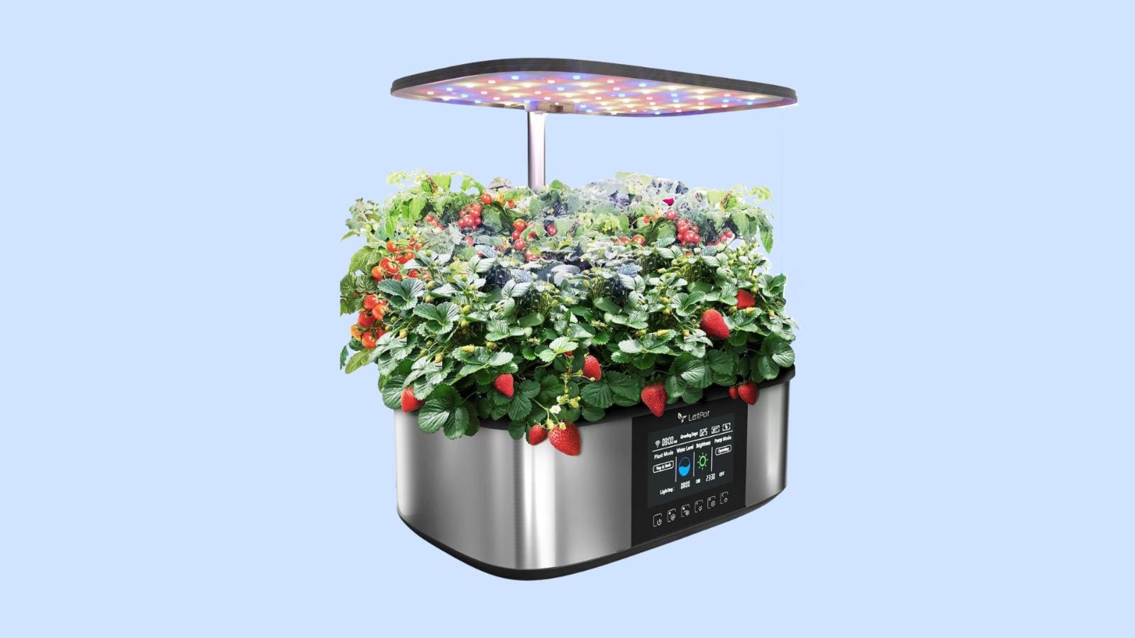 LetPot Hydroponics Growing System Review 2024