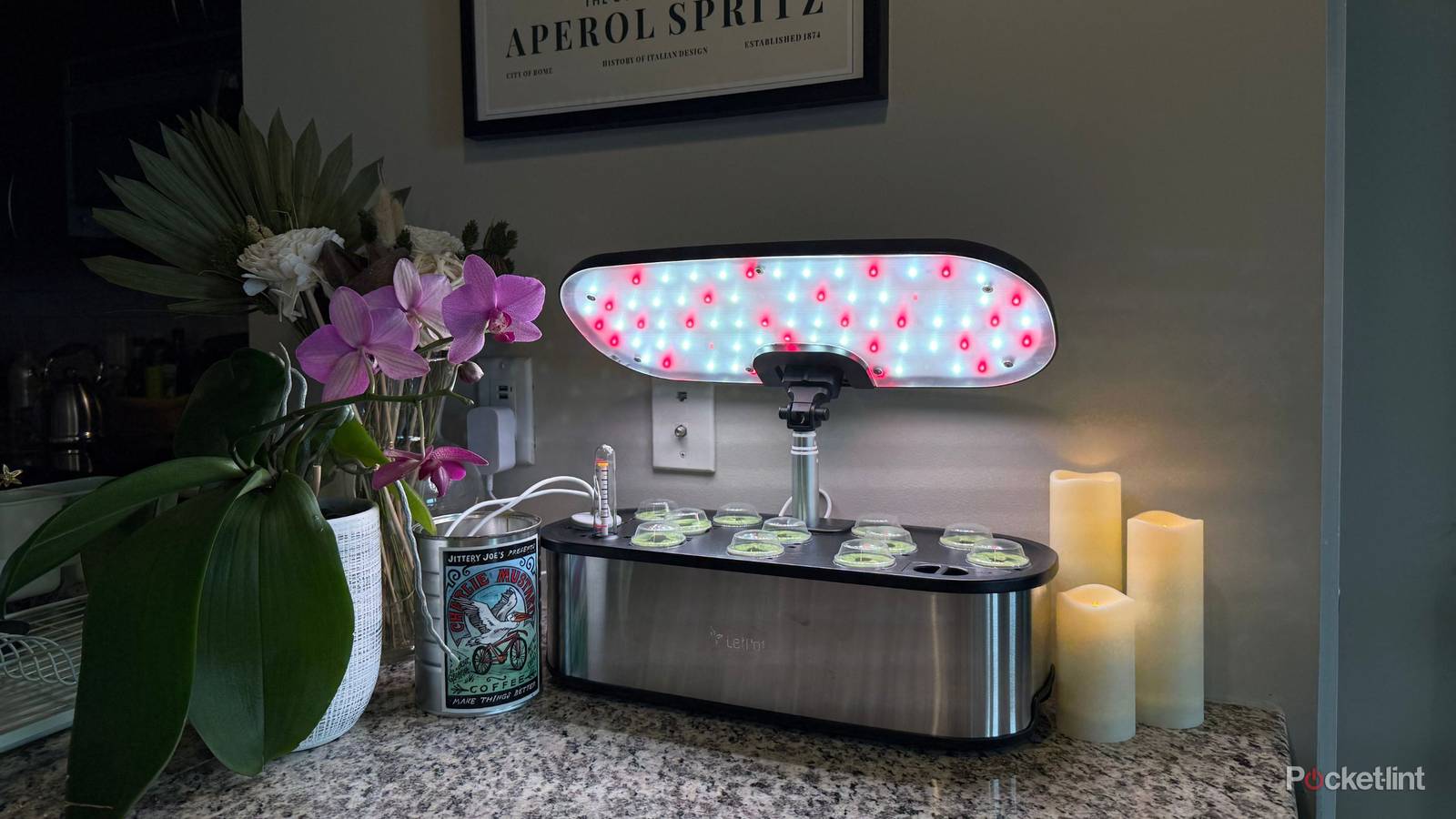 High-tech hydroponics helped me hack my way to year-round flavor