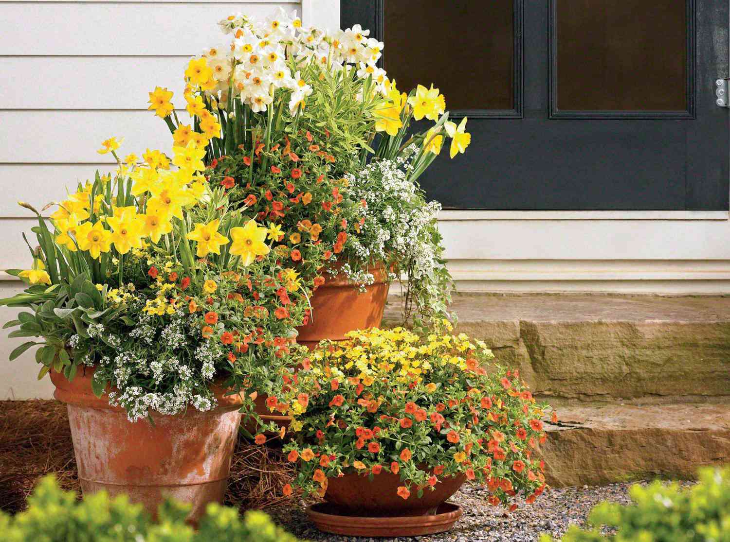 37 Front Door Container Garden Ideas For An Eye-Catching Entryway