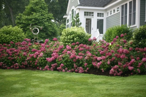 25 Flower Bed and Shrub Ideas for the Font Yard