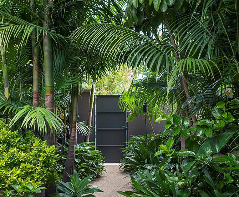 Be Transported By These 12 Australian Tropical Garden Ideas