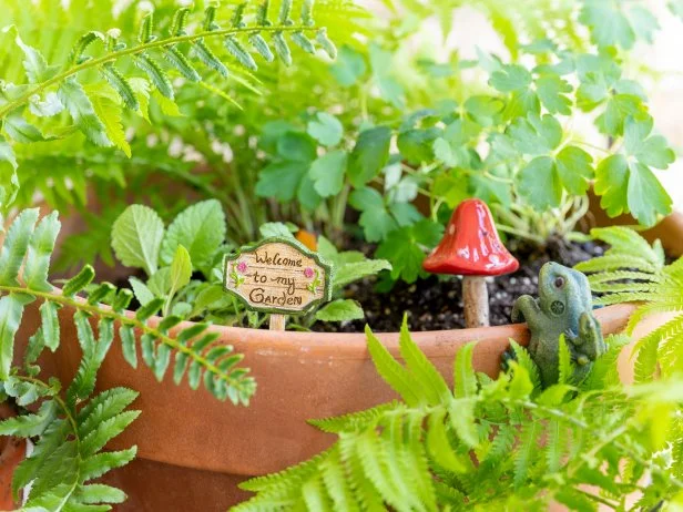 10 Stunning Micro Gardens for Small Spaces