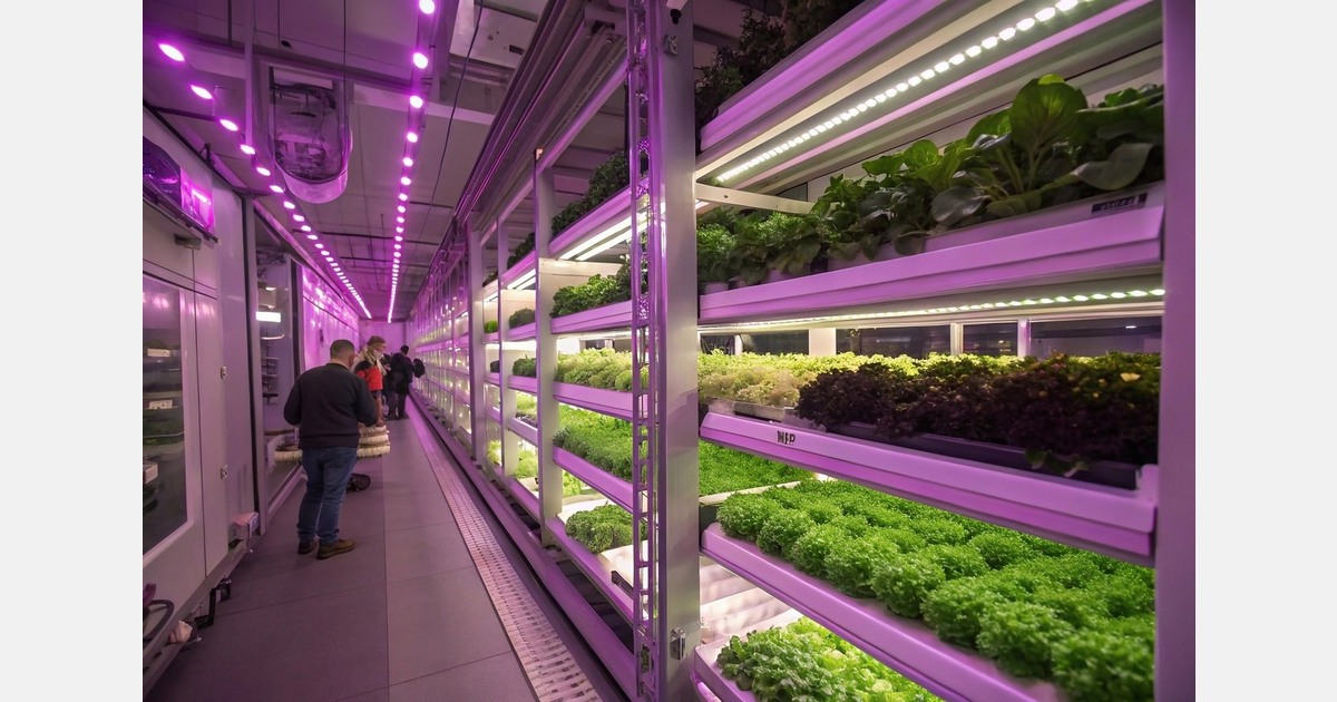 Edible Garden to feature first-to-market USDA Organic Hydroponic Basil at 2025 Global Produce & Floral Show