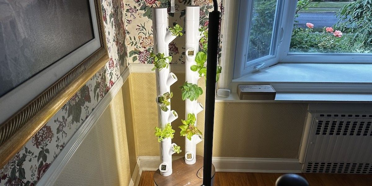 Gardyn Indoor Hydroponic Garden Review with AI