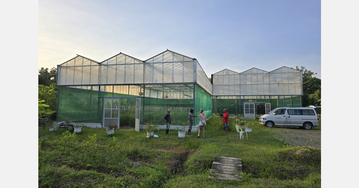 14-meter-high glasshouse gets new life at children’s home in Suriname