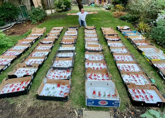 Growing your own food: can you save on fruit, vegetables, eggs & more?