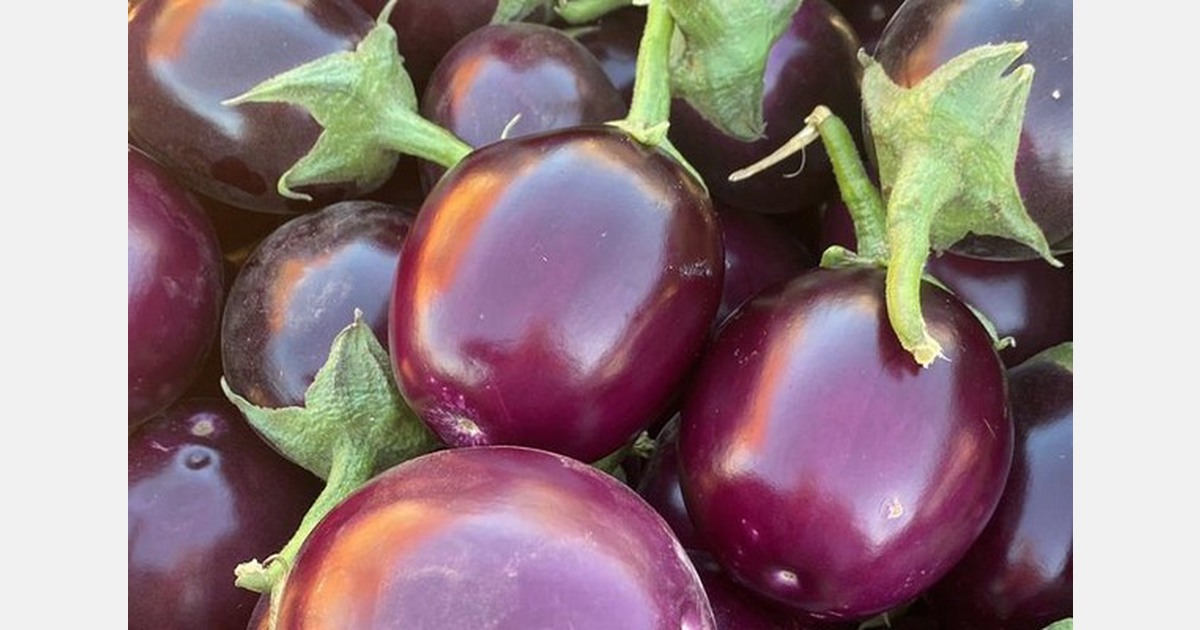 Strong pricing until 2026 on Asian vegetables