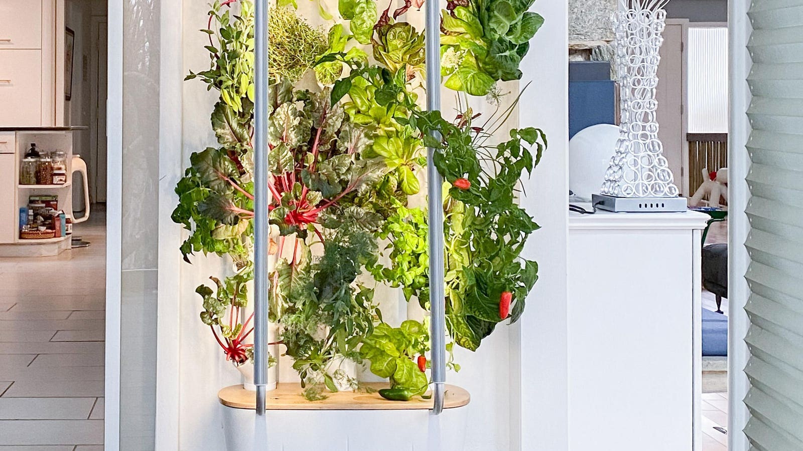 Tech Trend Or The New Victory Garden?