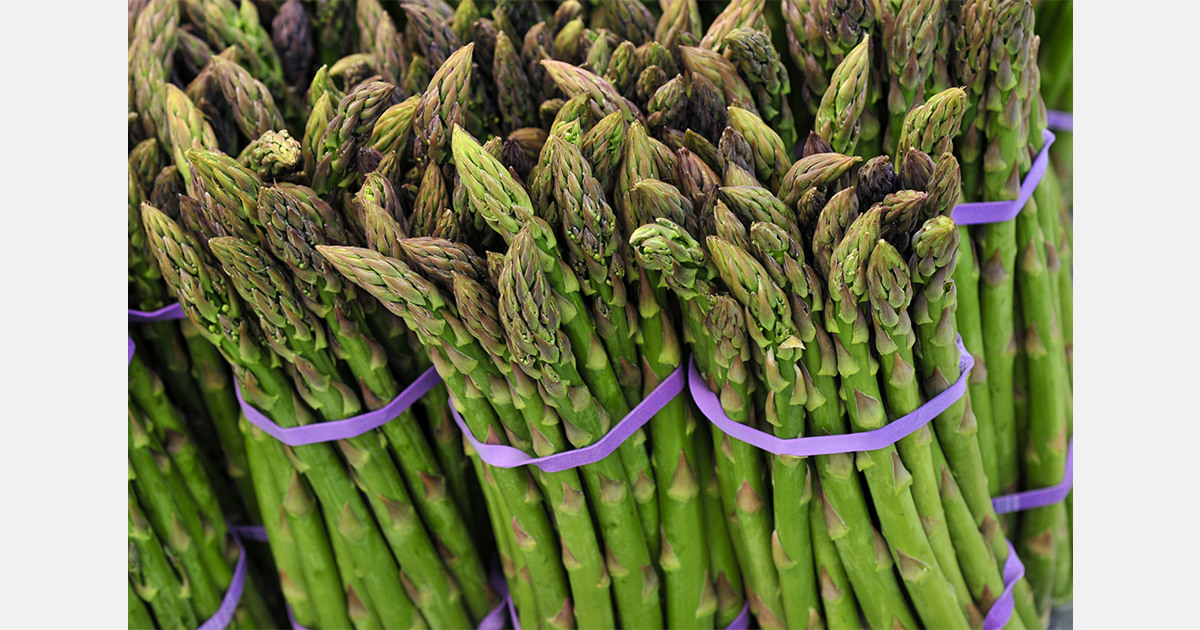 Demand for sweet potatoes and asparagus growing fastest in Ukraine’s vegetable niche