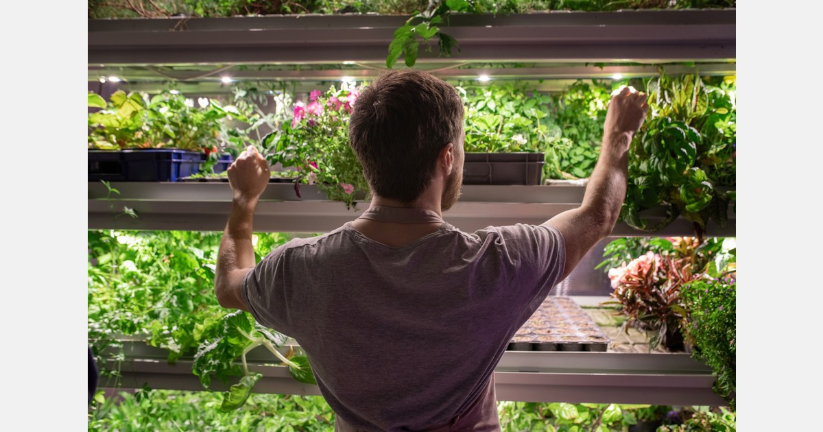 Grants open for school hydroponic gardens