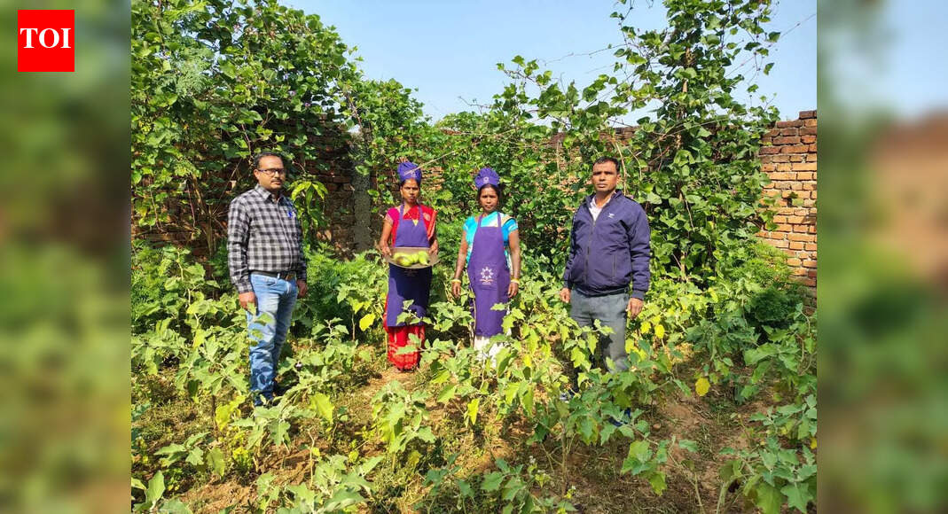 Growing vegetables for students: Govt school in Hazaribag cultivates organic kitchen garden; Students thrive through hands-on learning and nature connection | Ranchi News