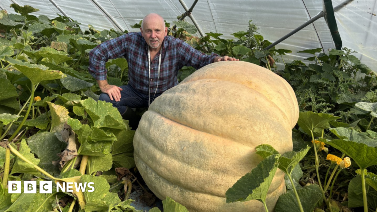 Giant vegetable grower eyes pumpkin glory at national contest