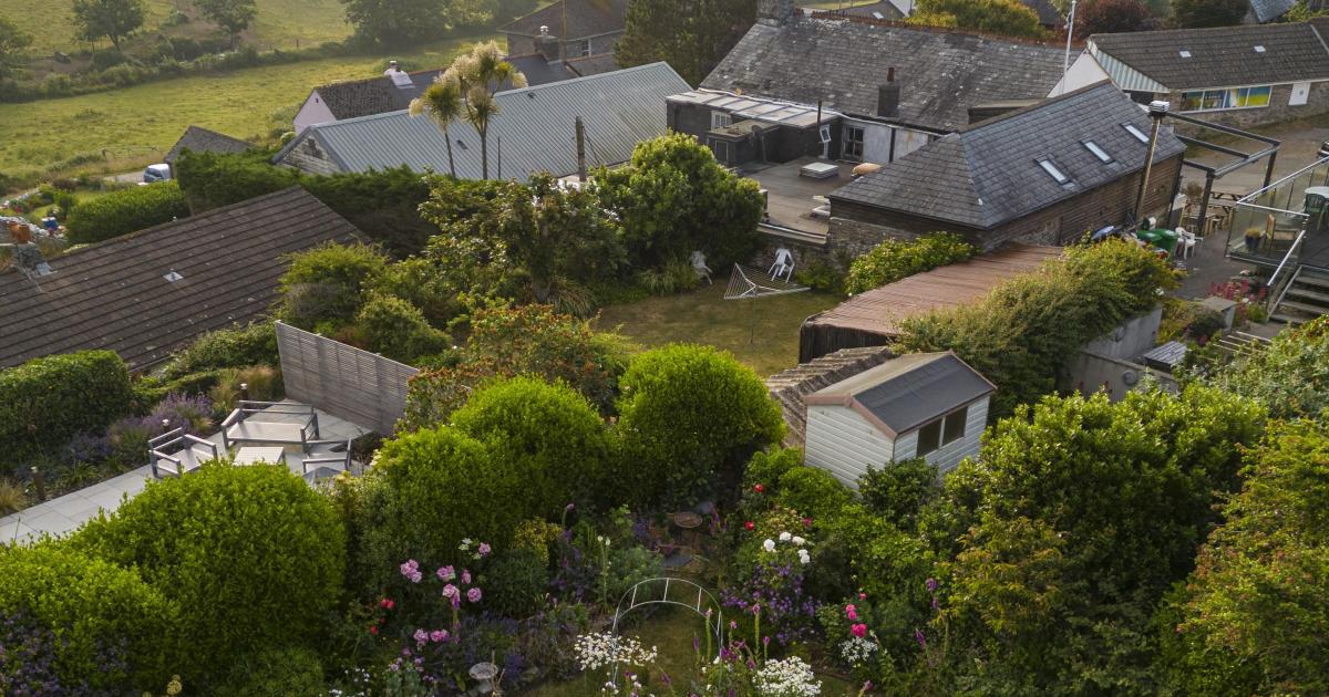 An inspiring horticultural journey in a Devon cottage garden