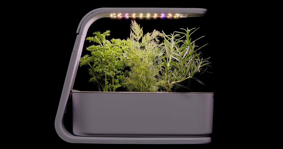 Best Indoor-Garden Kits 2025 | The Strategist