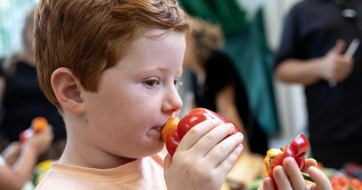 London Vegetable Orchestra performs at Islington Grow Show
