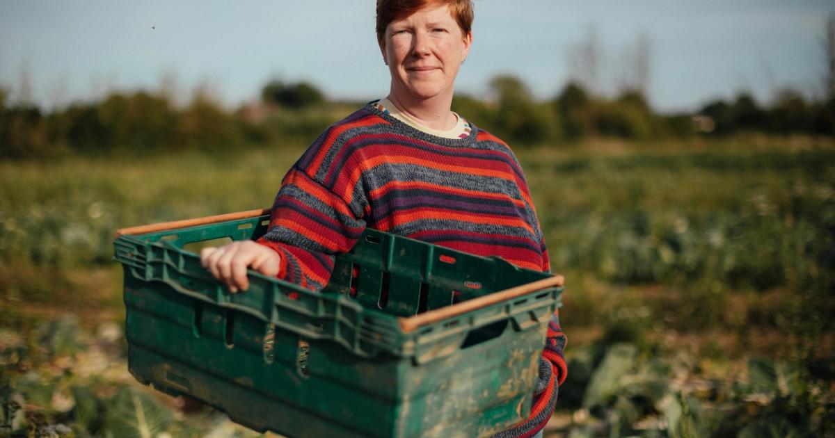 Behind the scenes at Mosshayne Farm near Exeter in Devon