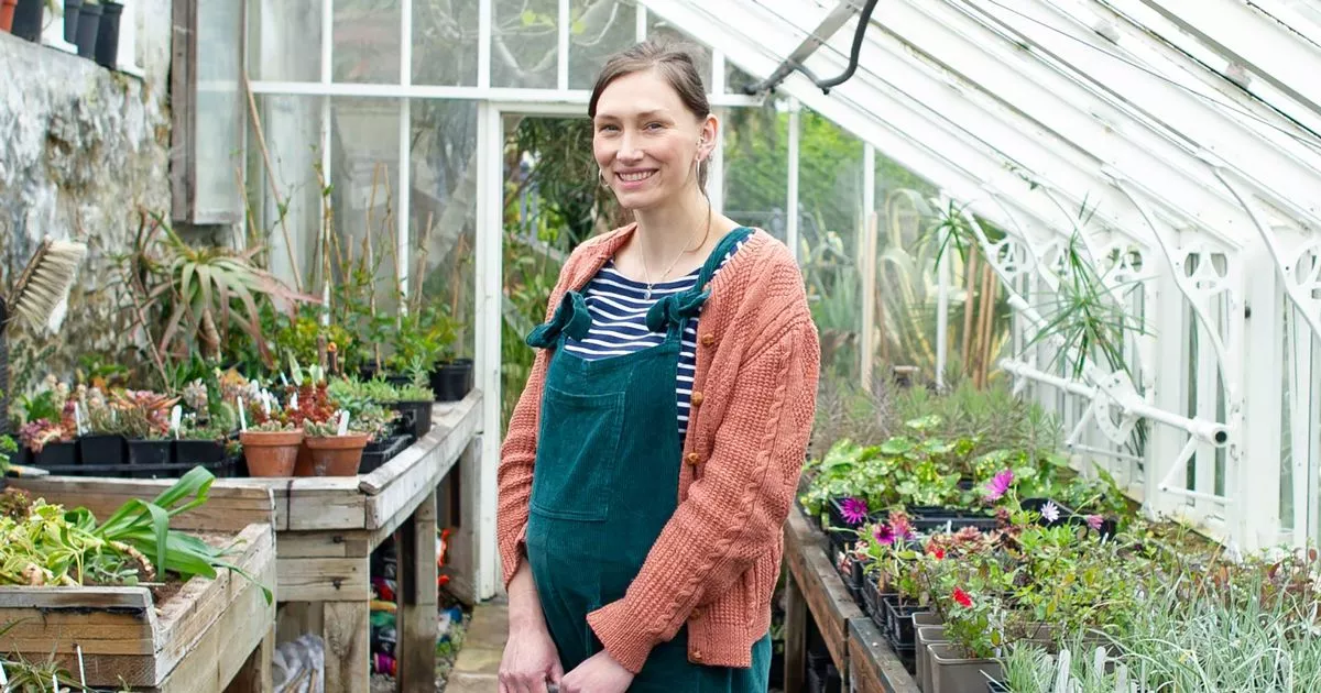 Anyone with greenhouse in garden urged to complete one job in September