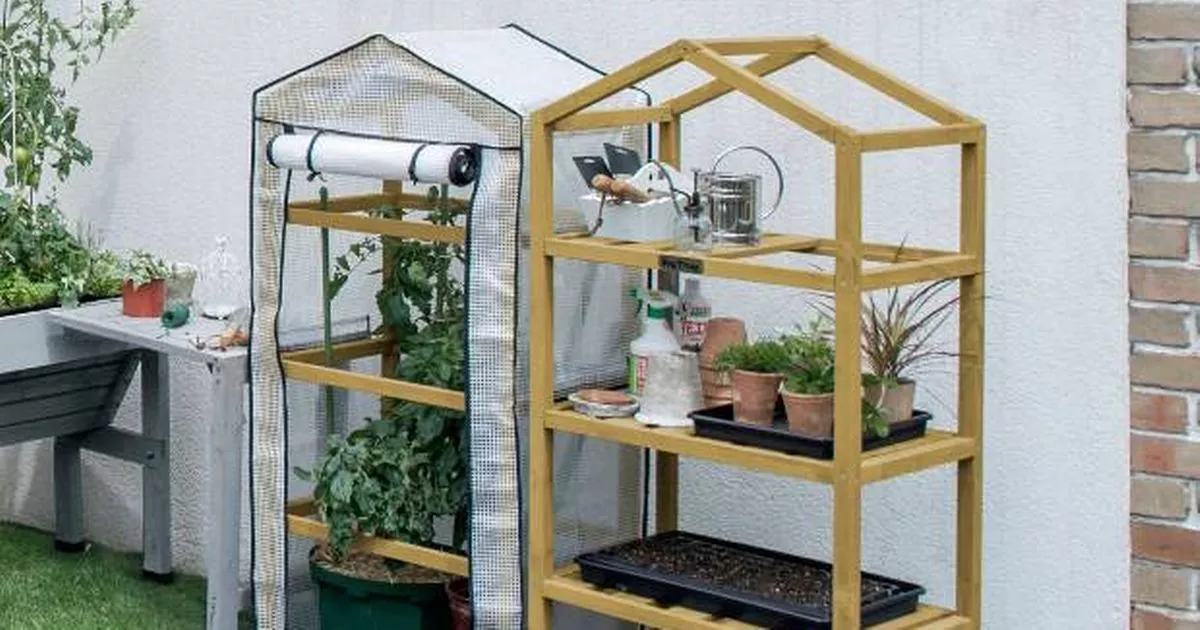 ‘Absolutely beautiful’ mini greenhouse worth £100 plummets in double deal