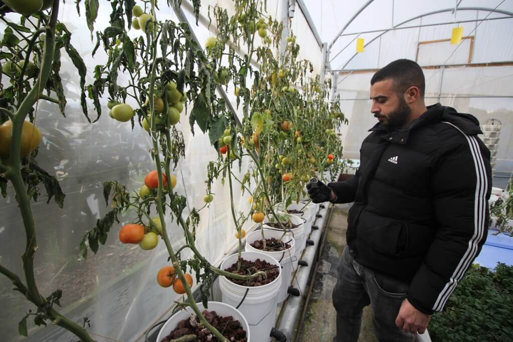 Israeli army tear gasses refugee camp, ruining youth centerโs hydroponic rooftop garden โ Mondoweiss